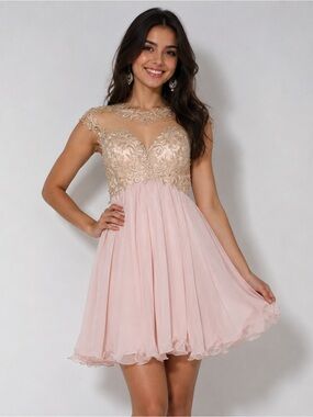 Cinderella Devine Pink Blush Short Embellished A line Chiffon Dress Sz 6